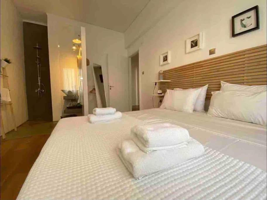 Vasilis Luxury Apartment アテネ エクステリア 写真