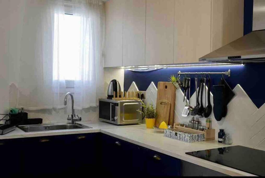 Vasilis Luxury Apartment アテネ エクステリア 写真